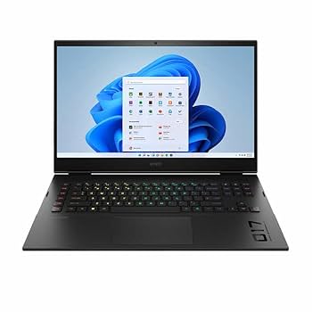 Amazon.com: HP OMEN 17.3